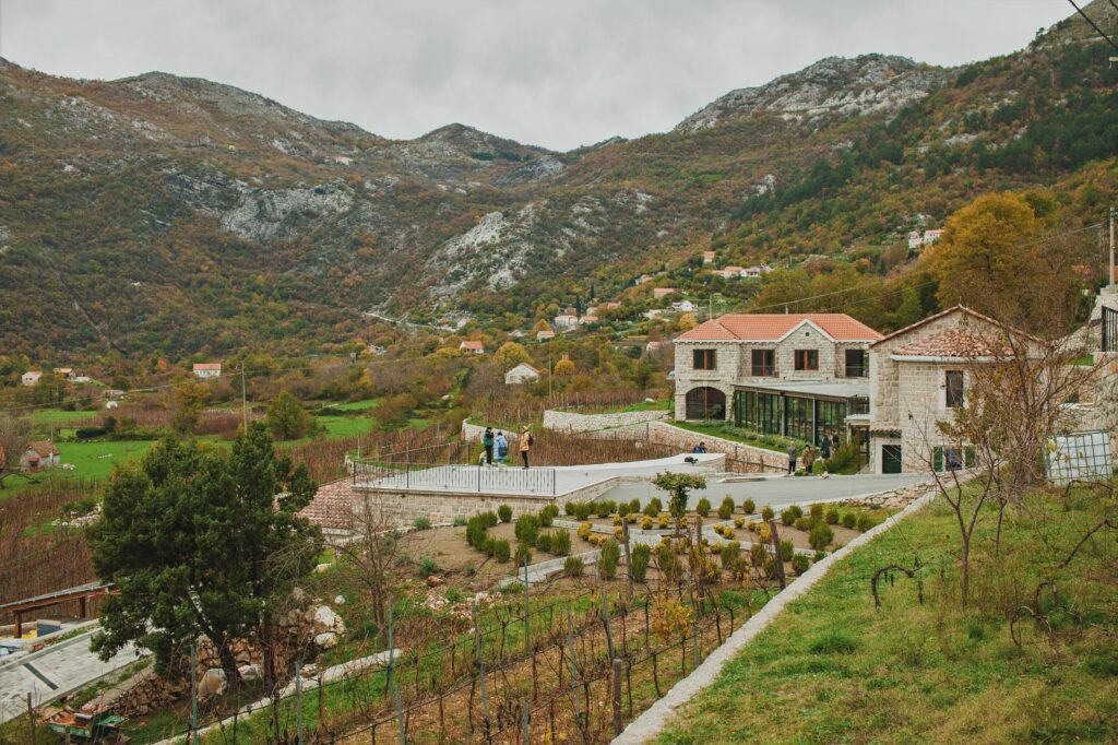 winery wedding in Montenegro