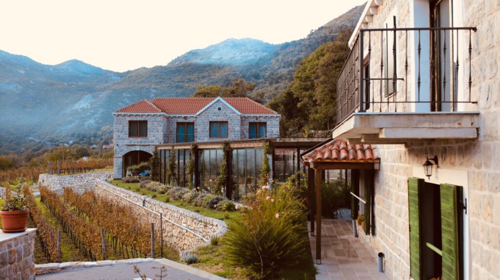 Wedding on winery in Montenegro